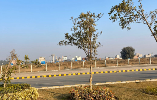 10 Marla Plot for Sale in L Block